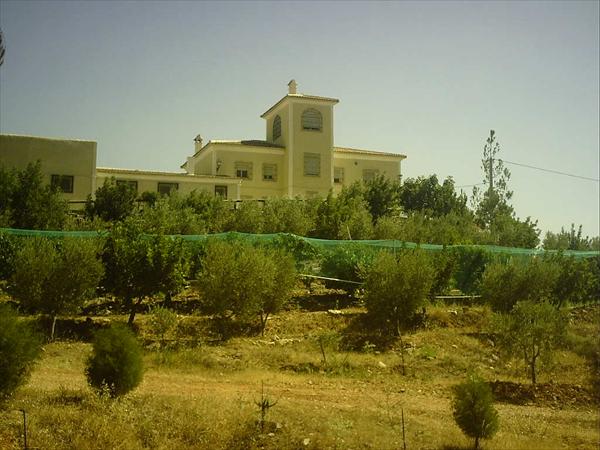 Photo Number 13